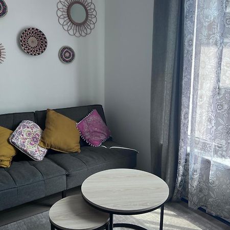 Studio Calme-Equipements Haut De Gamme Sarreguemines Exterior photo
